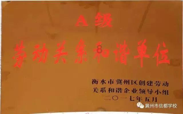 贵州山居|雪润茶园